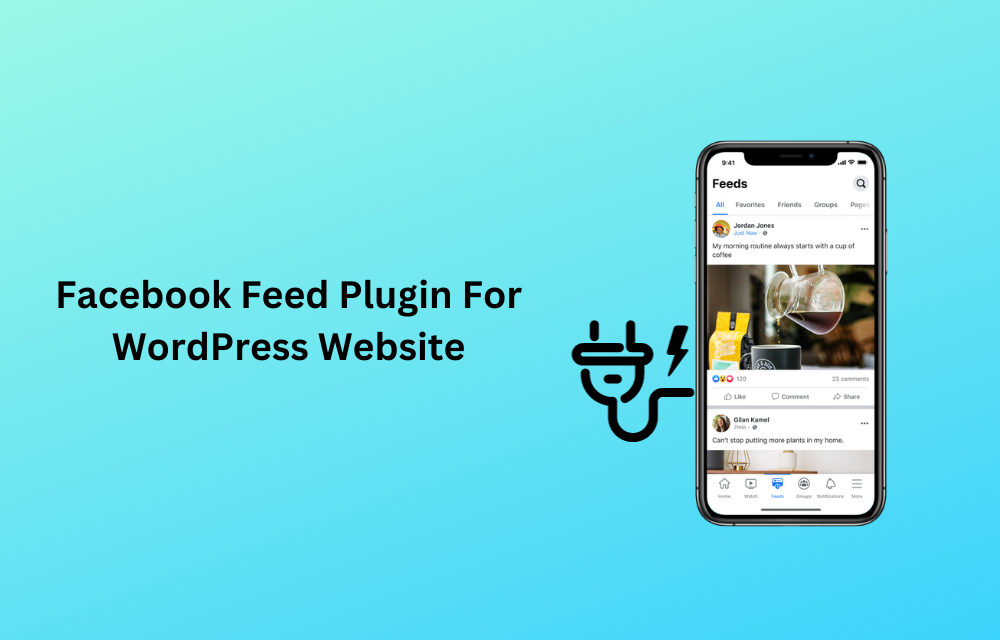 Facebook Feed Plugin For WordPress Website