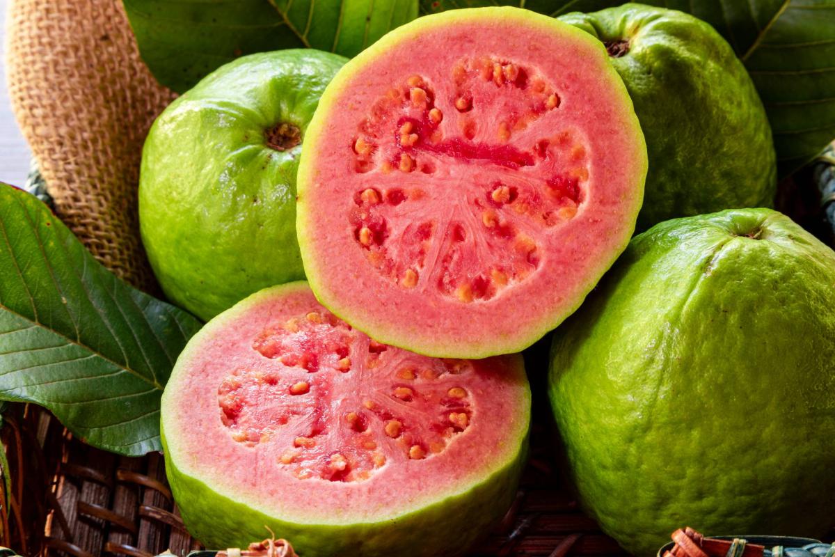 Guava Fruit Has Various Health Advantages